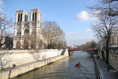 Notre Dame de Paris (Foto: Yohanes Wahyu Nurcahyo)